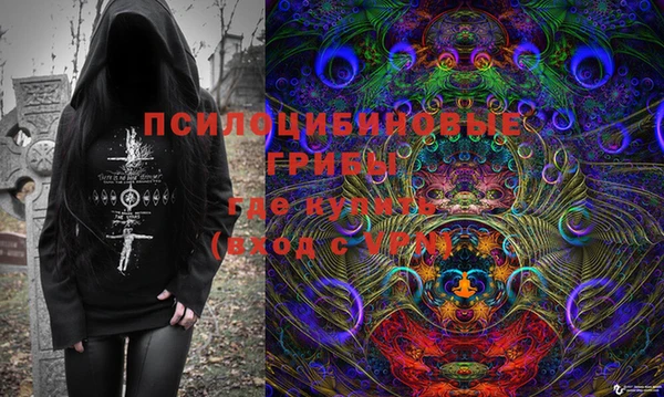 дмт Осинники