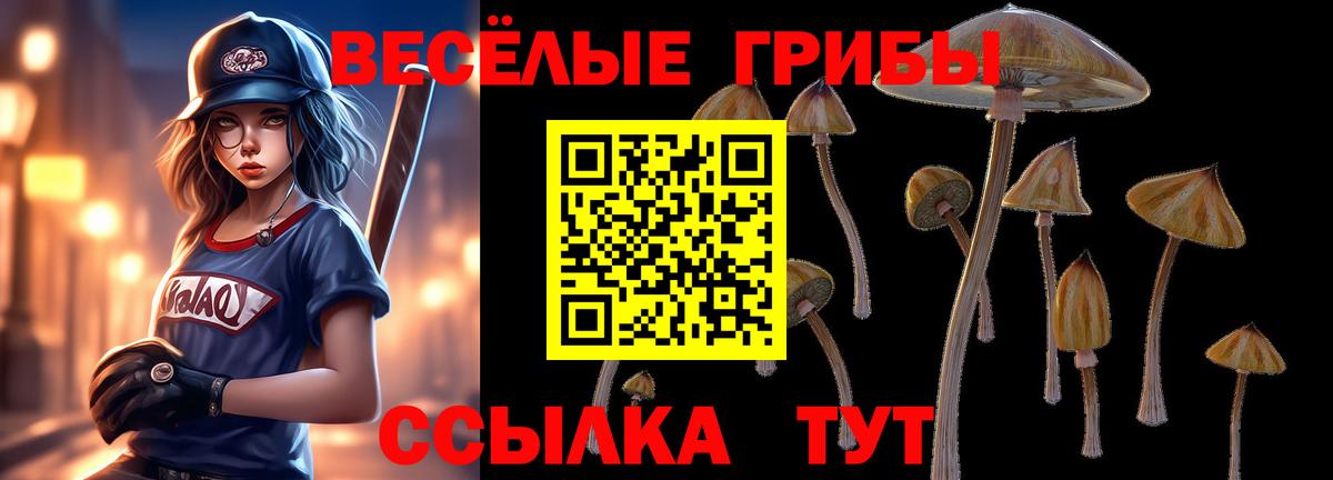 Псилоцибиновые грибы Psilocybine cubensis  Красноармейск 